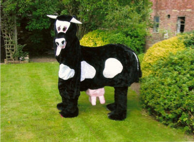 Image result for pantomime cow