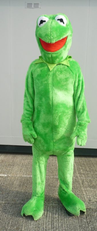 Frog Mascot Costume – Kermit – For Hire – Fantasy World